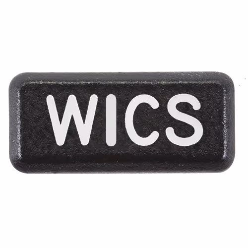 RTSO1 Snap-In Legend | WICS