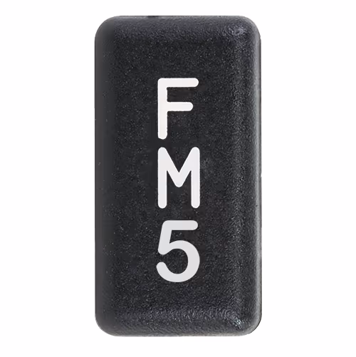 55-07-FM5.jpg