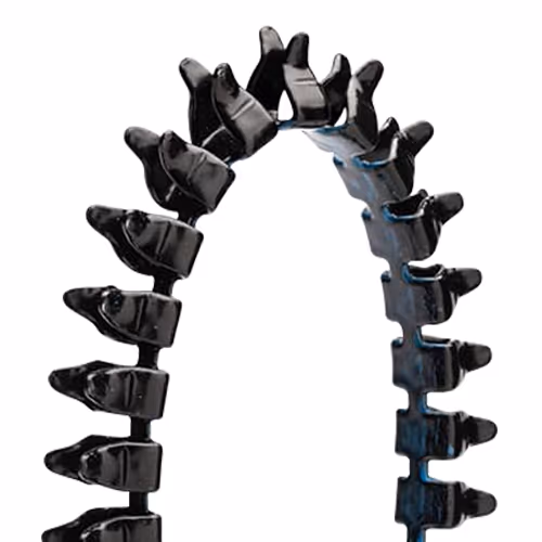 AP00100RR